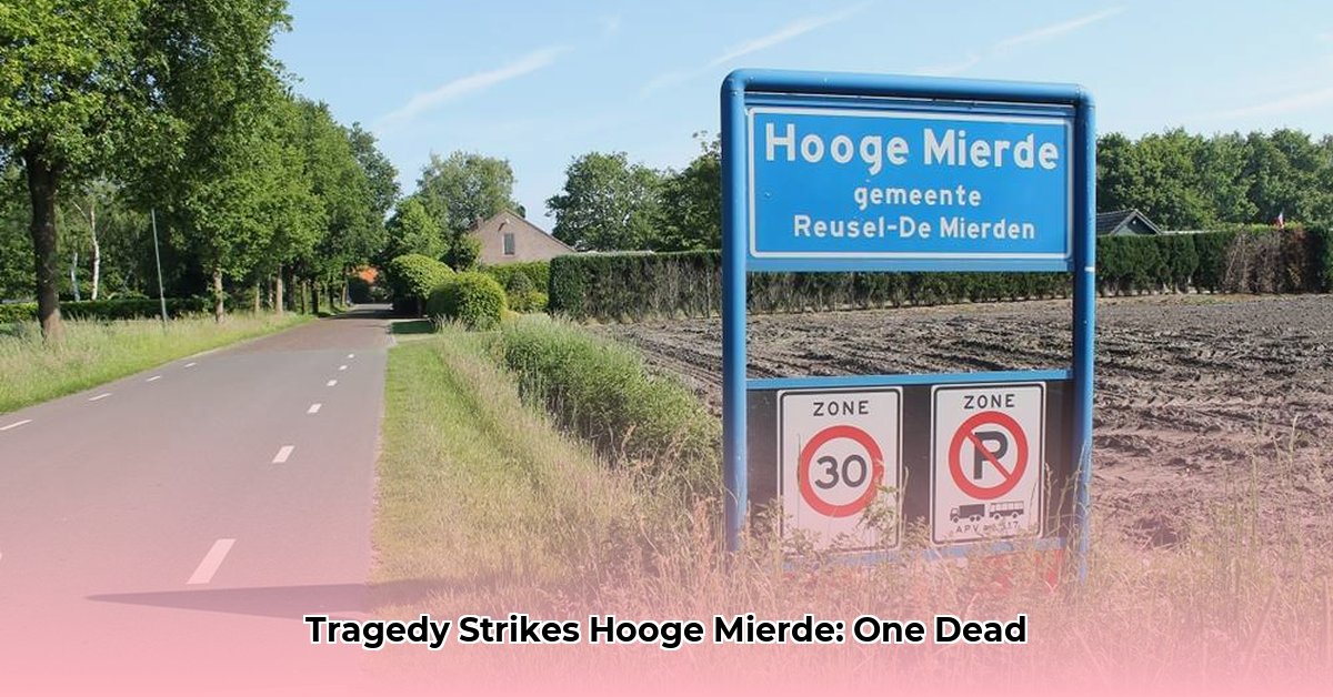 ongeluk-hooge-mierde